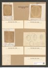 Cocconeis pseudomarginata Greg. (de-Toni-Nr.: Genus 40, Species 1851) Zeichnungen Sammlung Grunow Nr. 3668 (NHMW-BOT-W0371283)